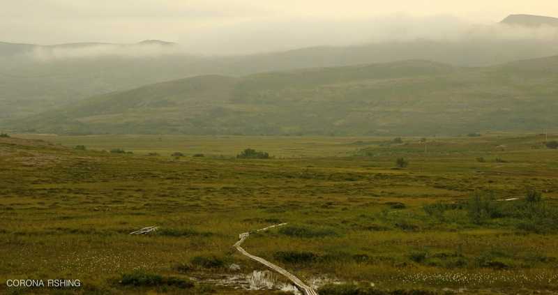 Tam gdzie zaczynają się strumienie.
